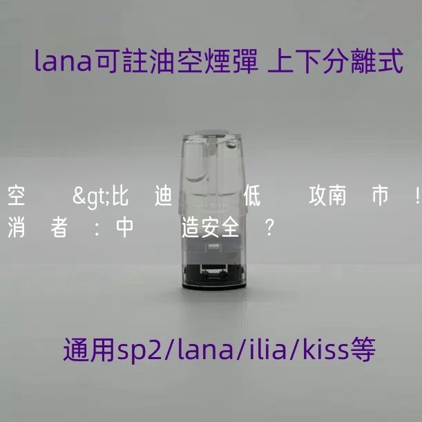 空煙彈>比亞迪電動車低價搶攻南韓市場！消費者憂：中國製造安全嗎？
